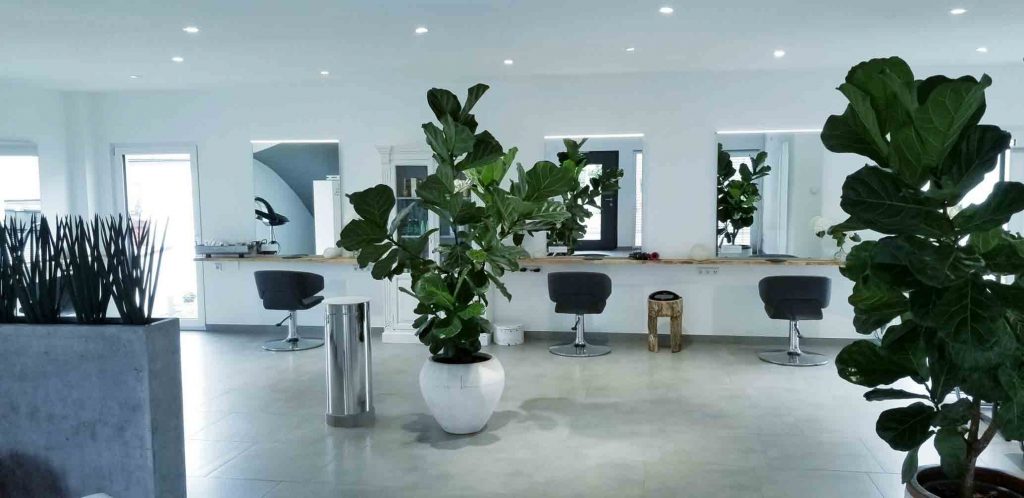 Schneidebereich im Perfekt Look Salon